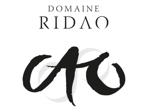 logo-ridao-4-480x365